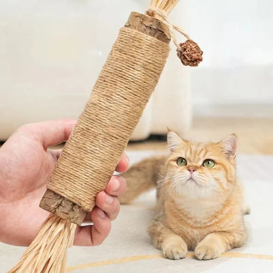 Catnip Cat Toys Natural Matatabi Pet Cat Snacks Stick Cleans Tooth Removers Hair to Promote Digestion Silvervine Kitten Chew Toy